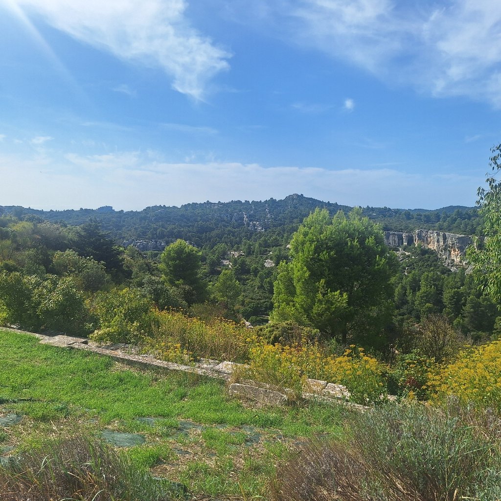Découvrons le parc des Buttes Buttes Chaumont 😊