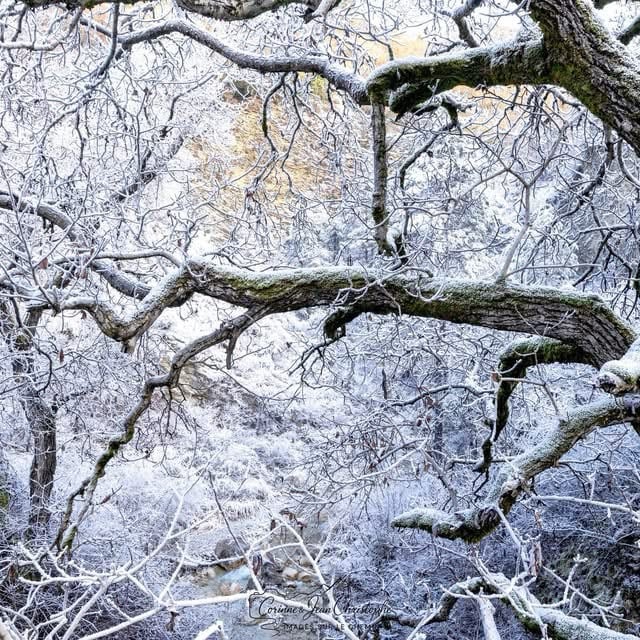 movie theater interior