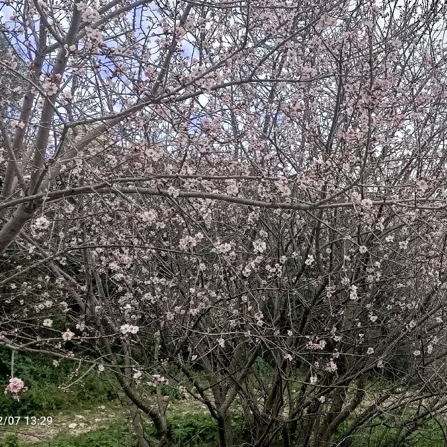 Der Butzbacher Hexenturm mit Verteidigungswall