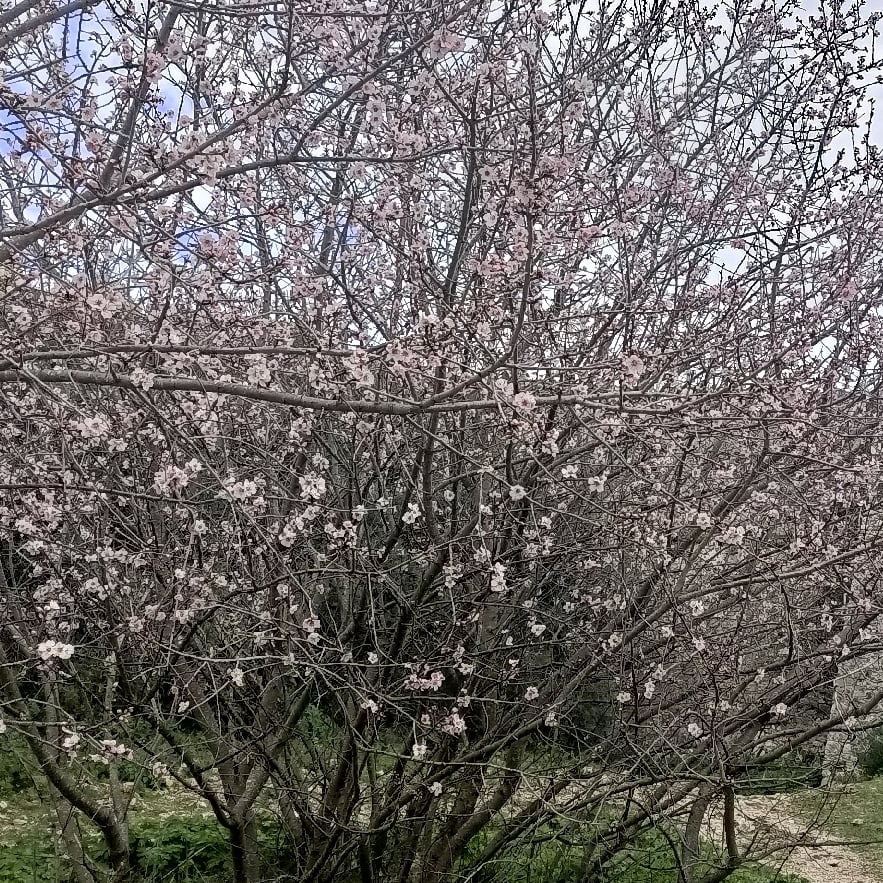 a large building with a pool in front of it