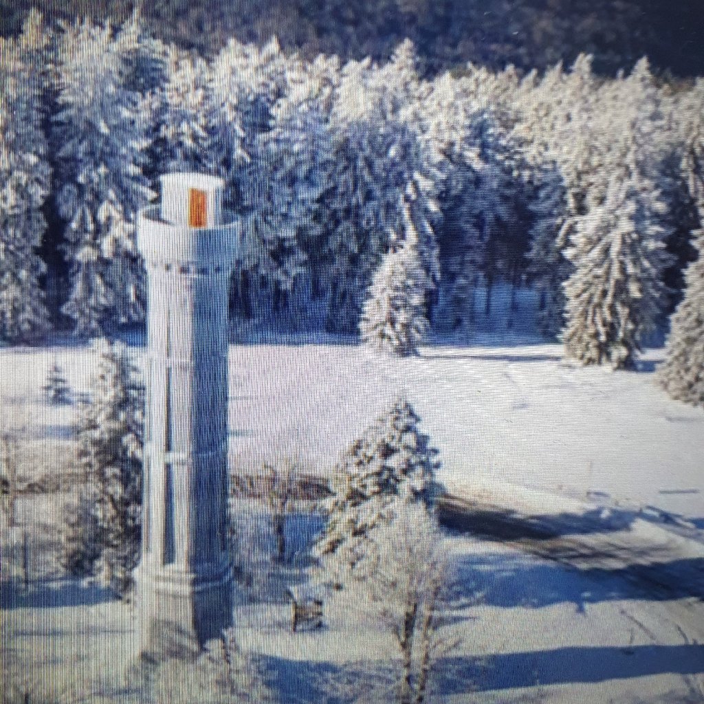 Randonnée raquette au Champ du feu