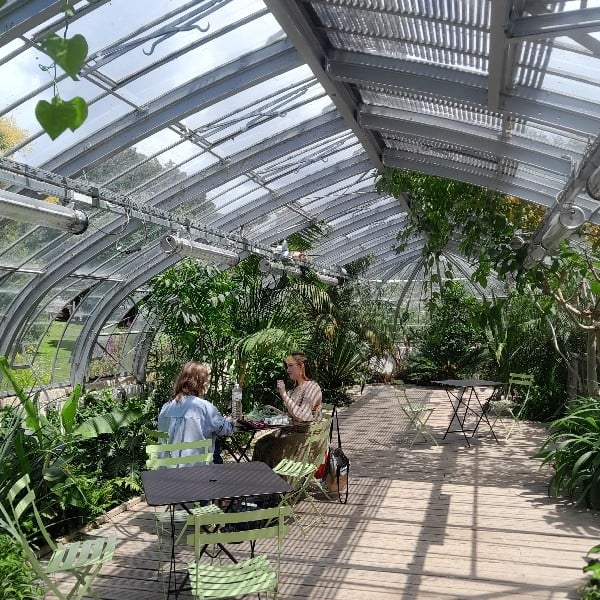 Jeu de la Crapette au Jardin Des Plantes