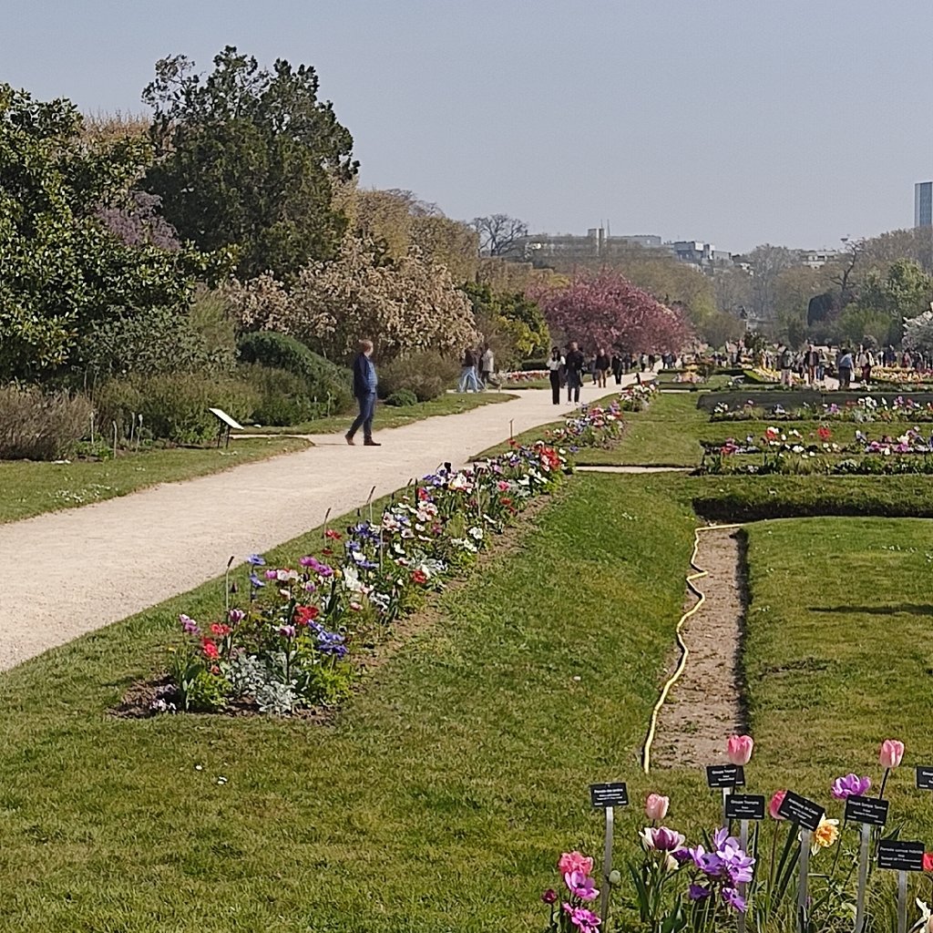 A pathway took in the plant garden in Paris