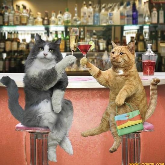 apéro dînatoire