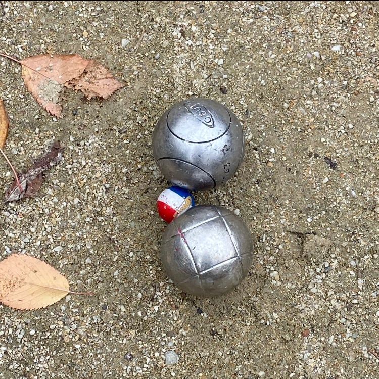 green trees on brown sand during daytime
