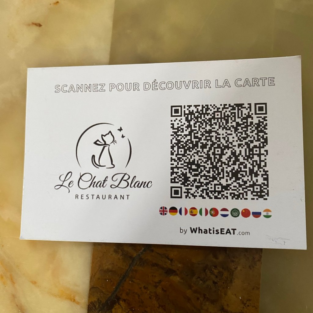 Le RDV du Chat Blanc