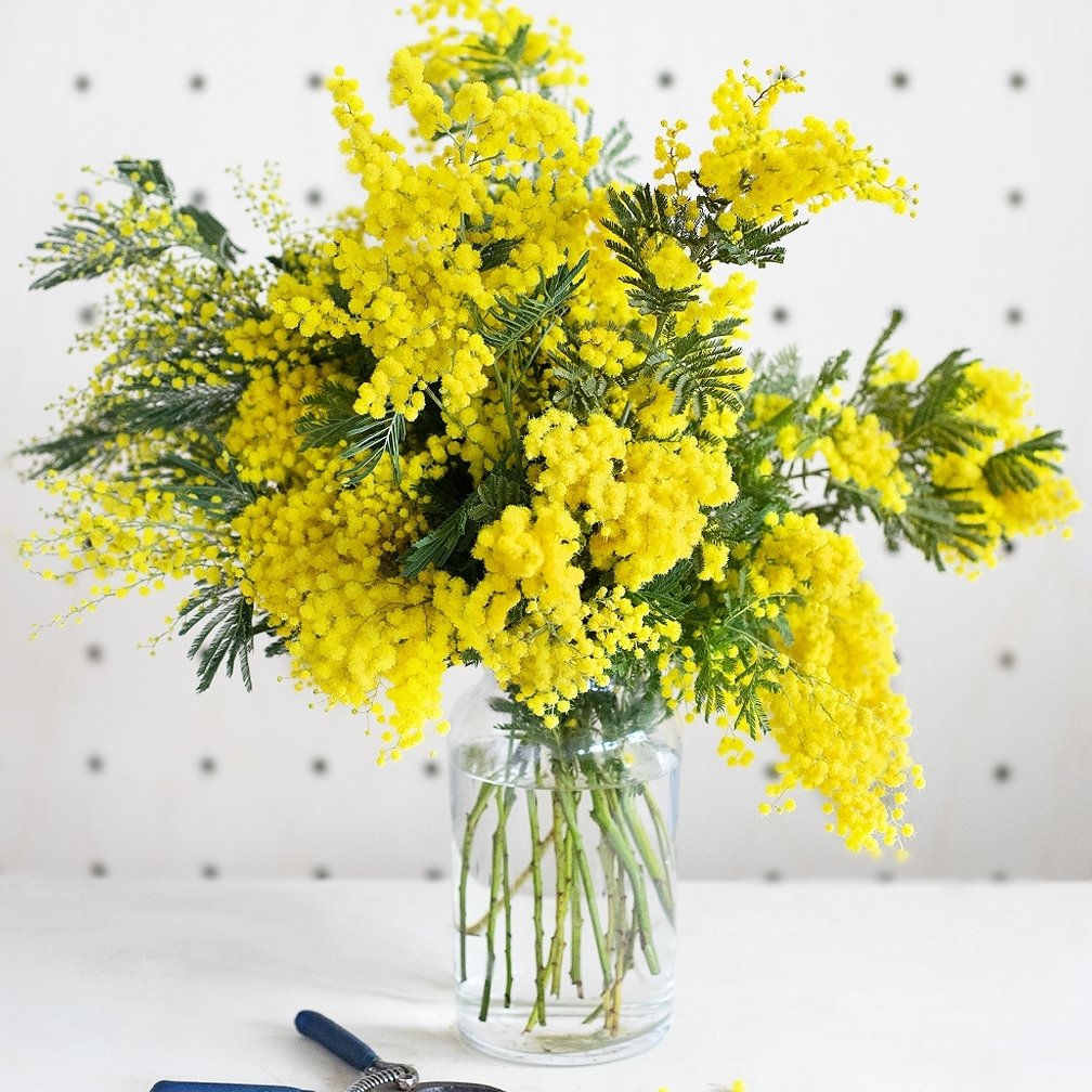 a bunch of pink flowers that are blooming