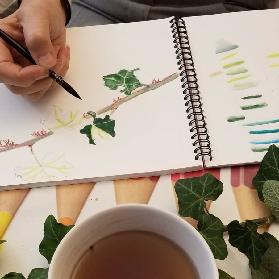 draw with coal - drawing