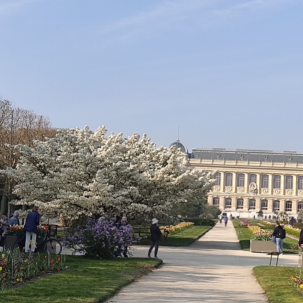 Marche nordique Jardin des plantes