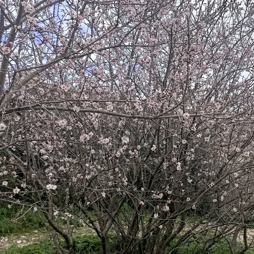Der Butzbacher Hexenturm mit Verteidigungswall