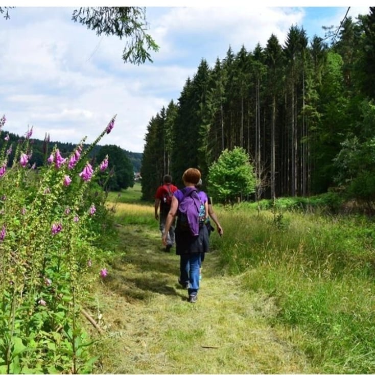 circuit des 12 sources de Zittersheim