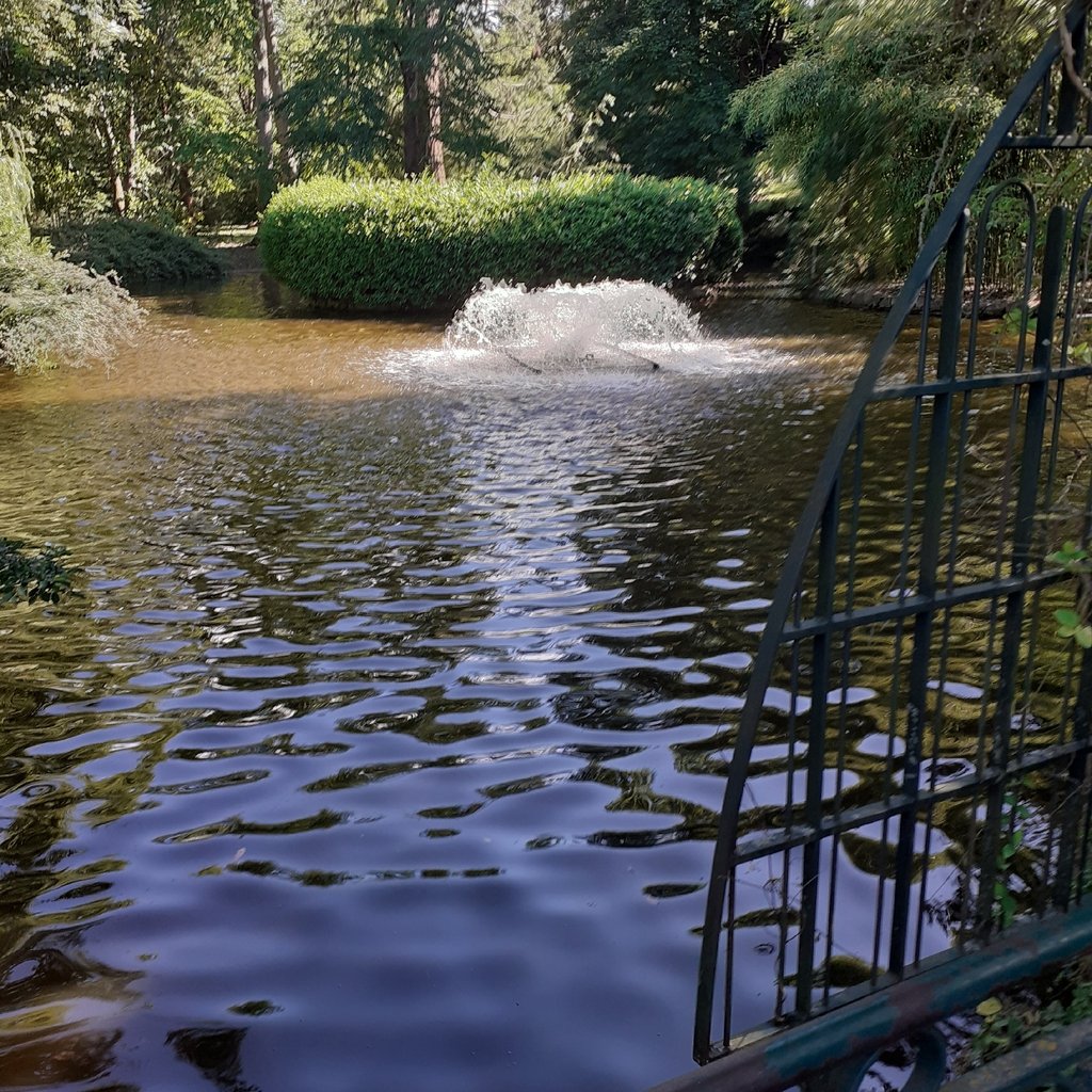 Marche au parc pour entretenir la forme 