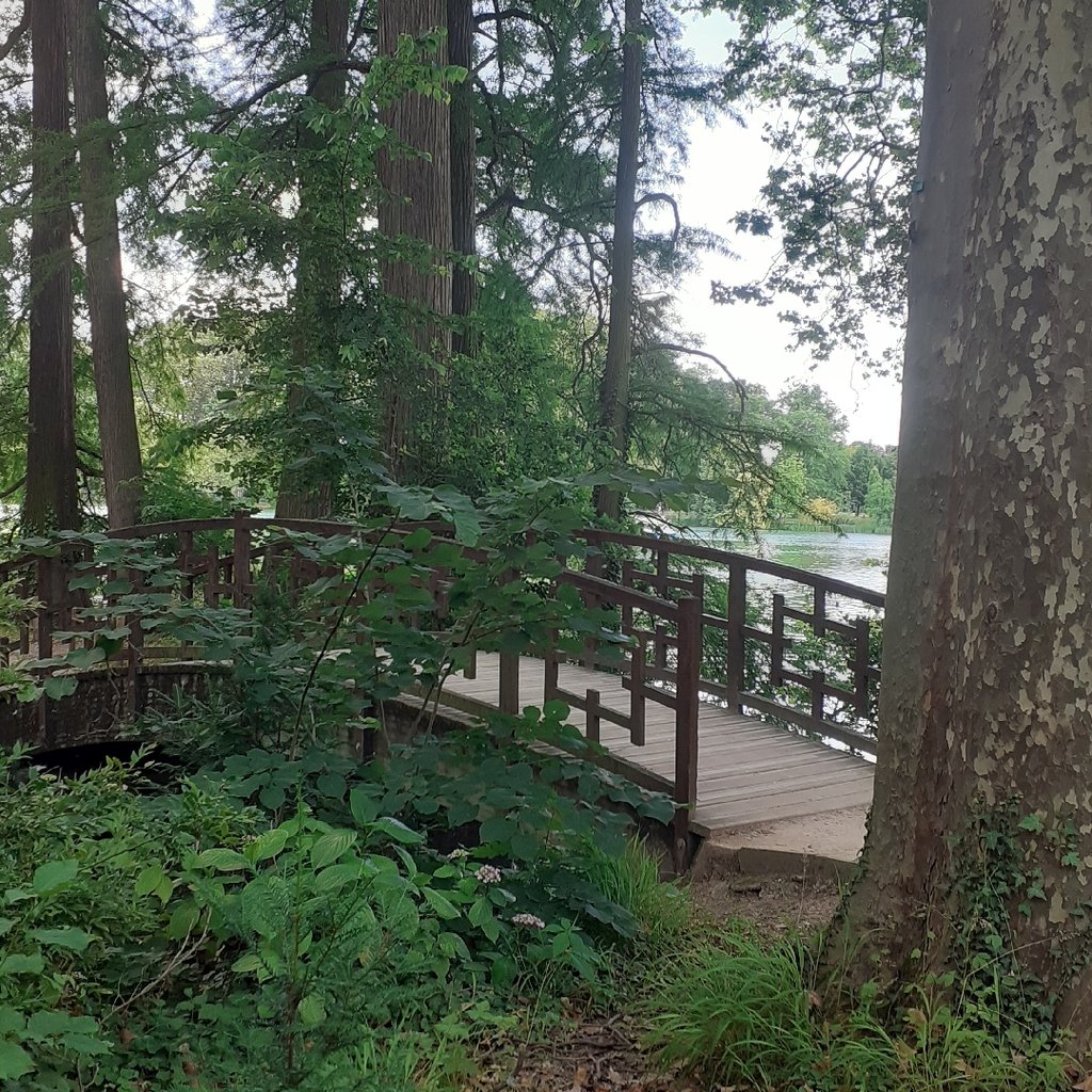 Balade au parc tête d'or