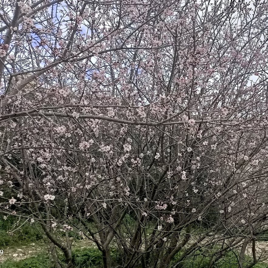 Der Butzbacher Hexenturm mit Verteidigungswall
