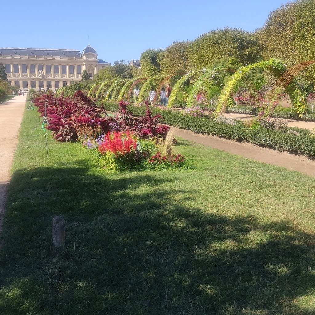 A pathway took in the plant garden in Paris