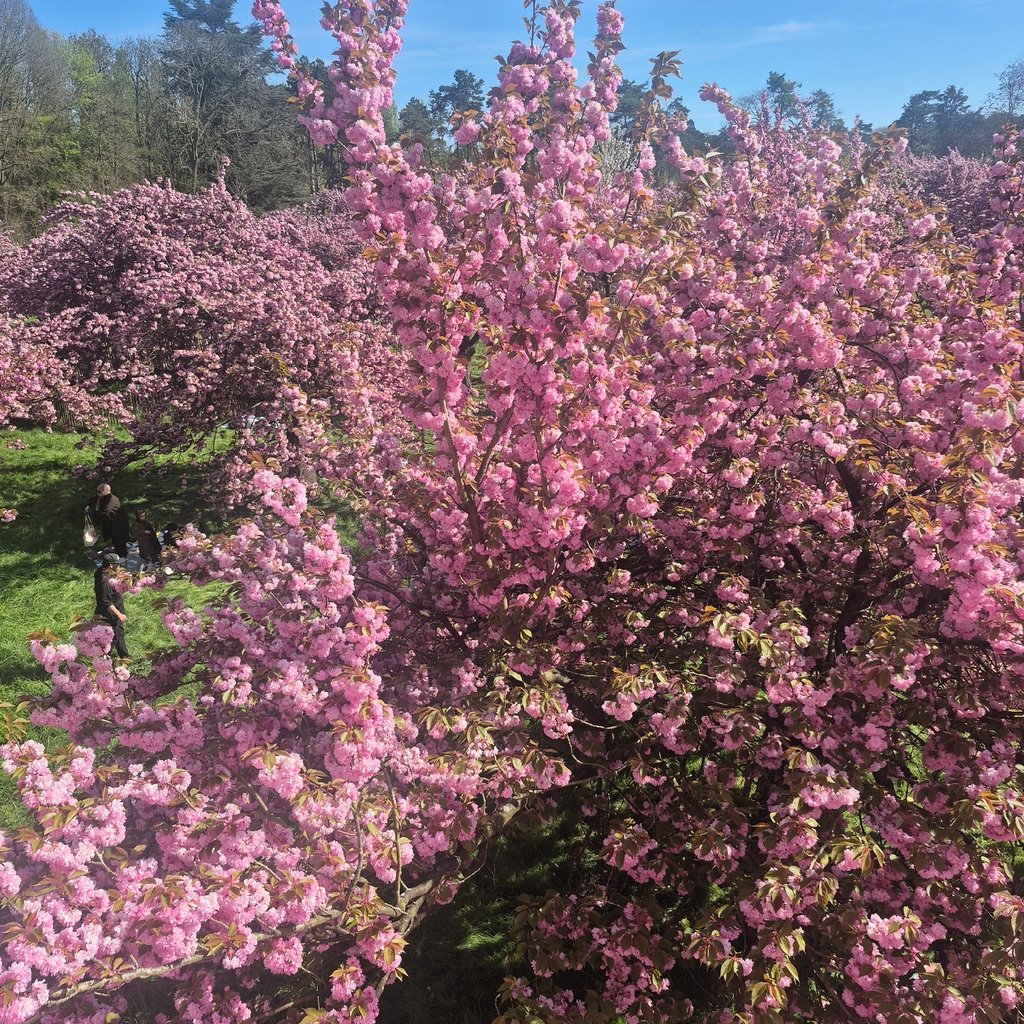 a group of people walking down a snow covered road