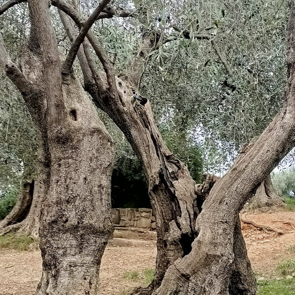 circuit: le cirque de moureze signboard on post near plants