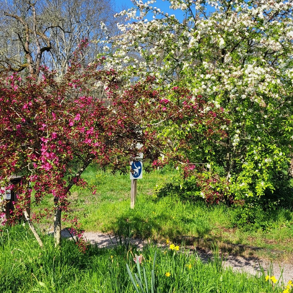 Marche dauphine sign on white brick wall