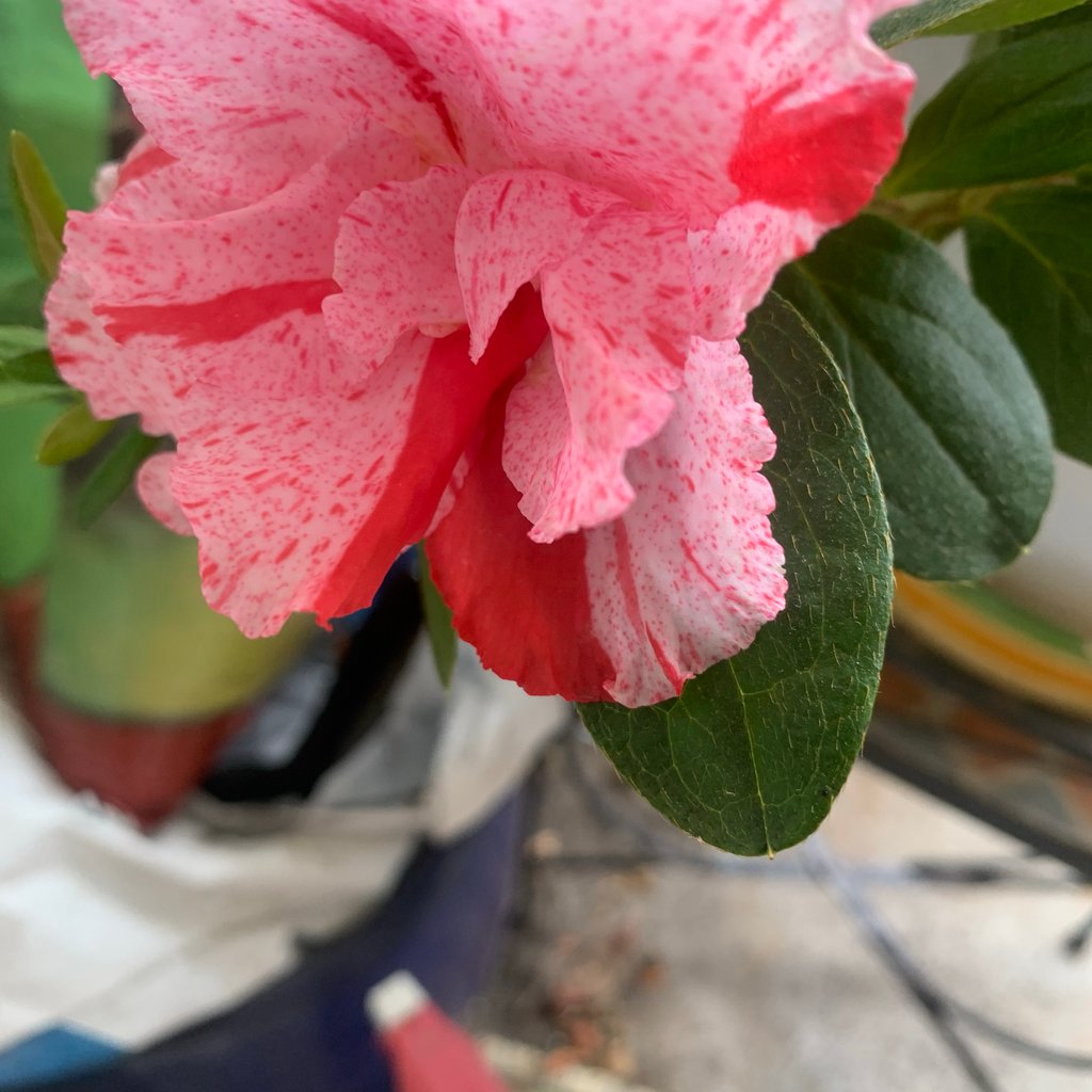 venez découvrir vos talents en arts plastiques