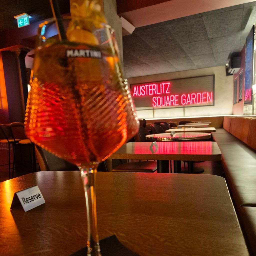 a garden with flowers and bushes