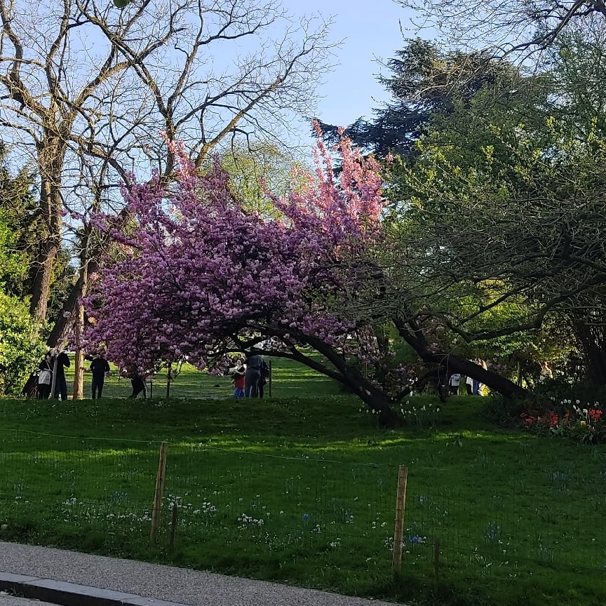 Marche nordique au lac daumesnil avec Véronique !