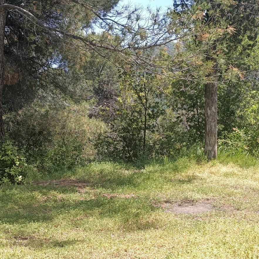 Cathy/ Marcher par Monts et merveilles ! MONT BORON