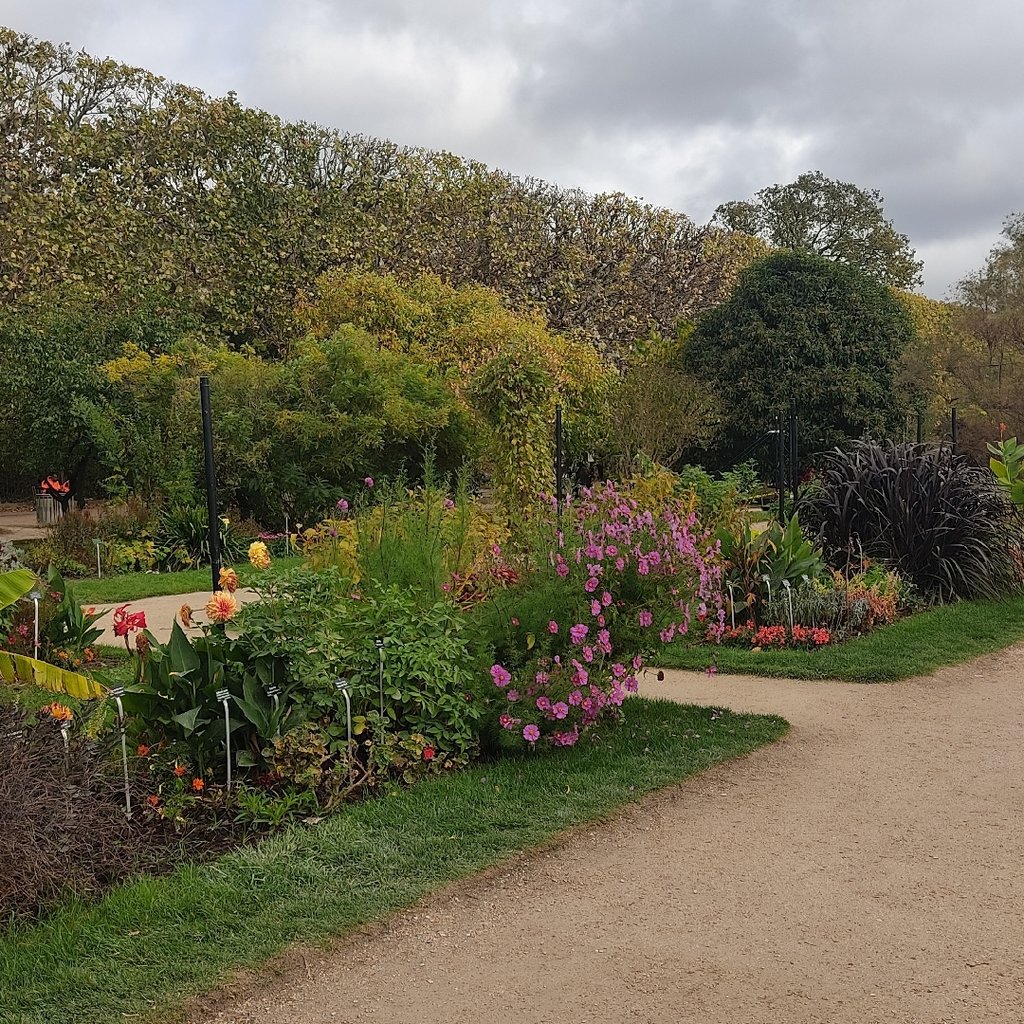 Marche nordique Jardin des plantes