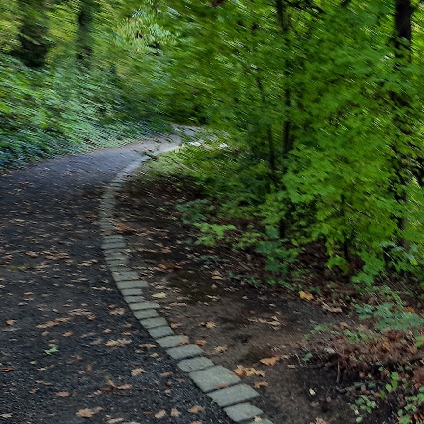 Randonnée LES LOUVRIES