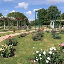 Un Pique-nique au Parc Tête d’Or