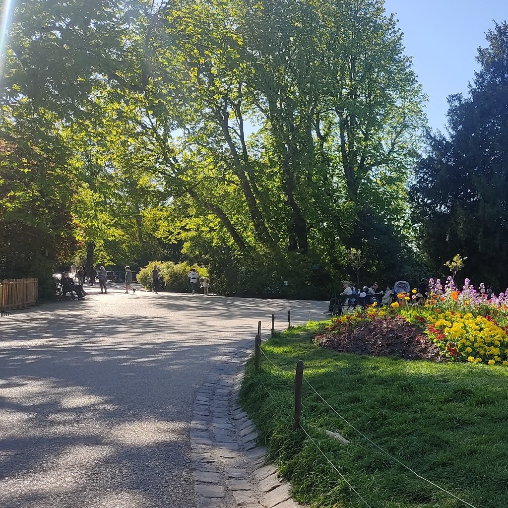 Marche nordique au lac daumesnil avec Véronique !