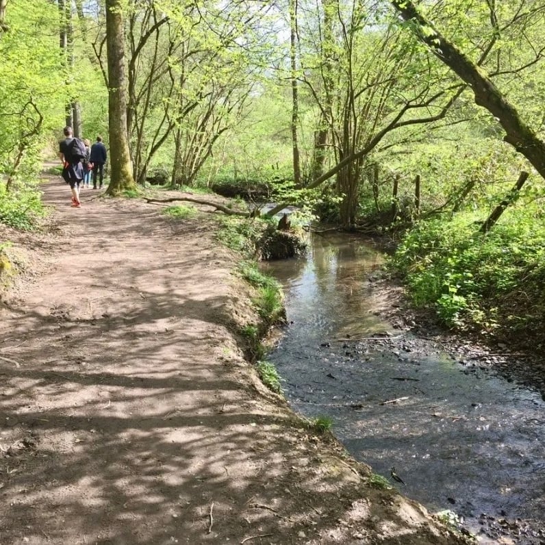Balade, picnic au bois de Serres et patrimoine à Dardilly