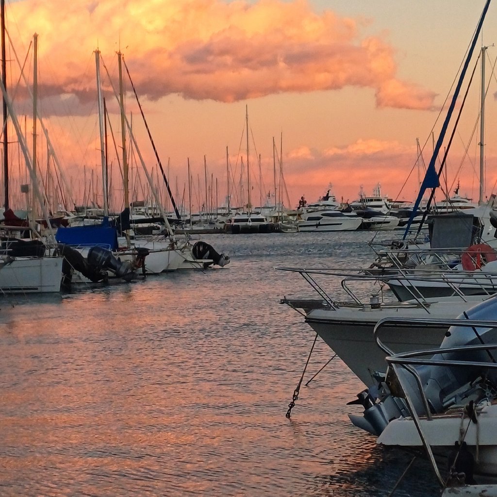 Balade à Port Vauban