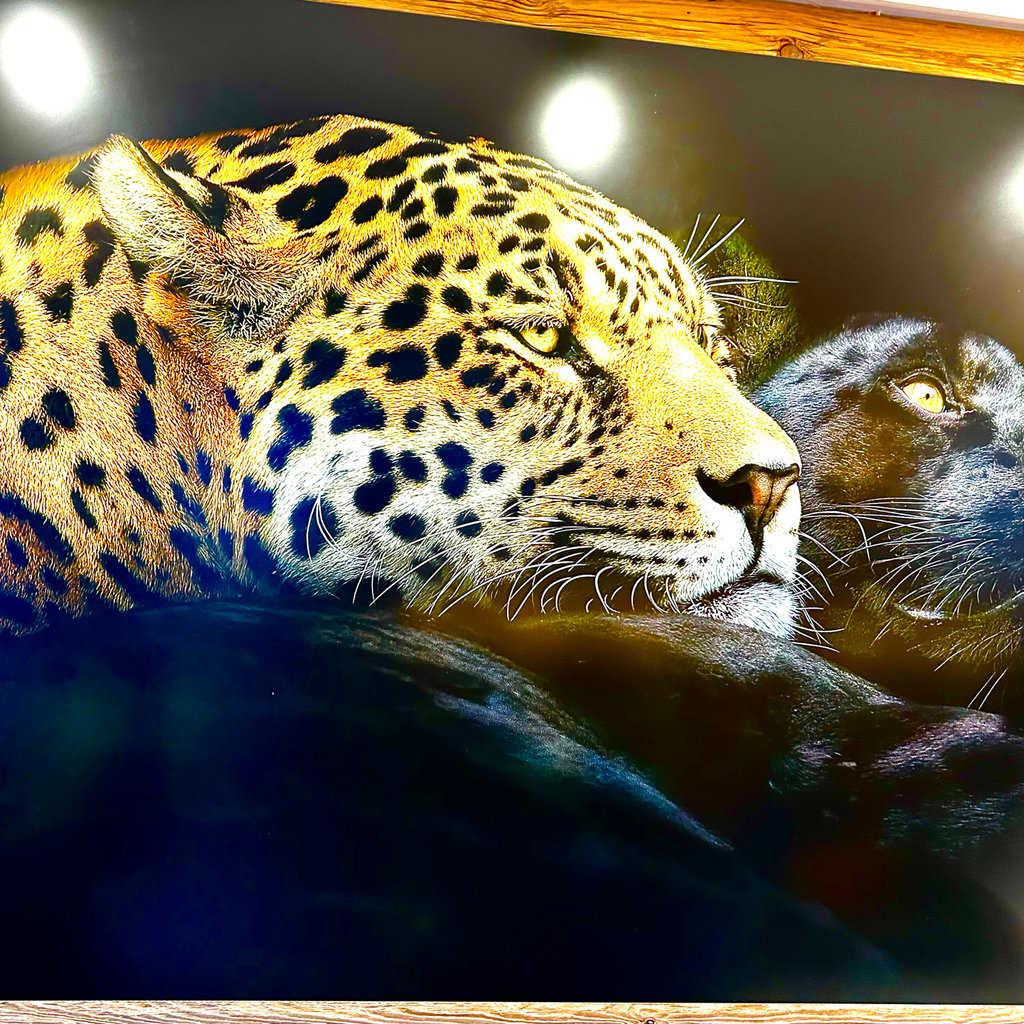 apéro du vendredi 14 novembre