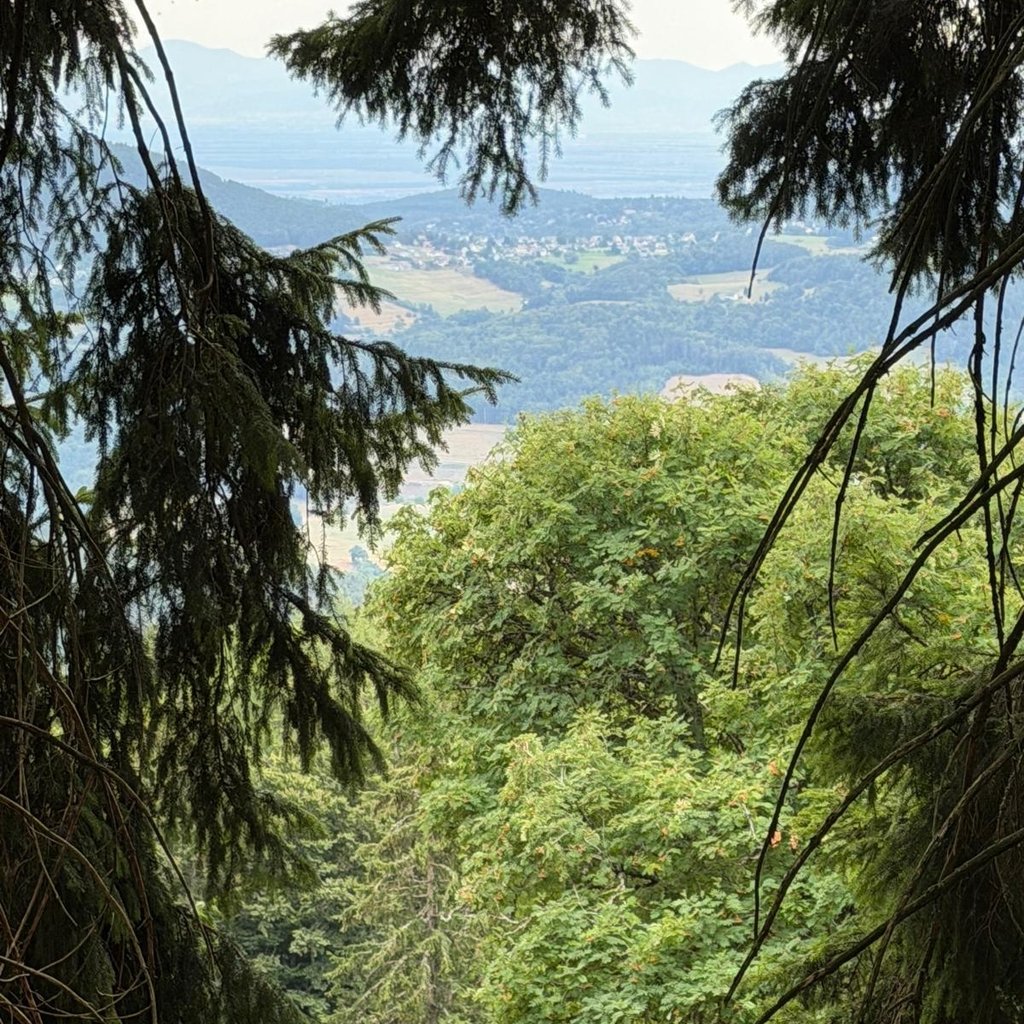 Randonnée les rochers des Hirschsteine