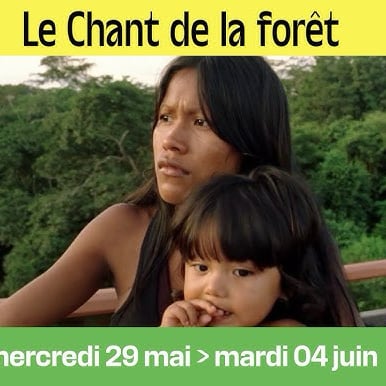 Cine-Débat "Le chant de la forêt "