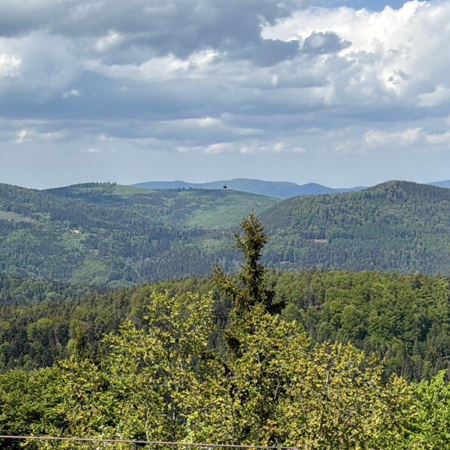 Randonnée facile du Mont Sainte Odile vers Ottrot en passant par le chemin des Merveilles