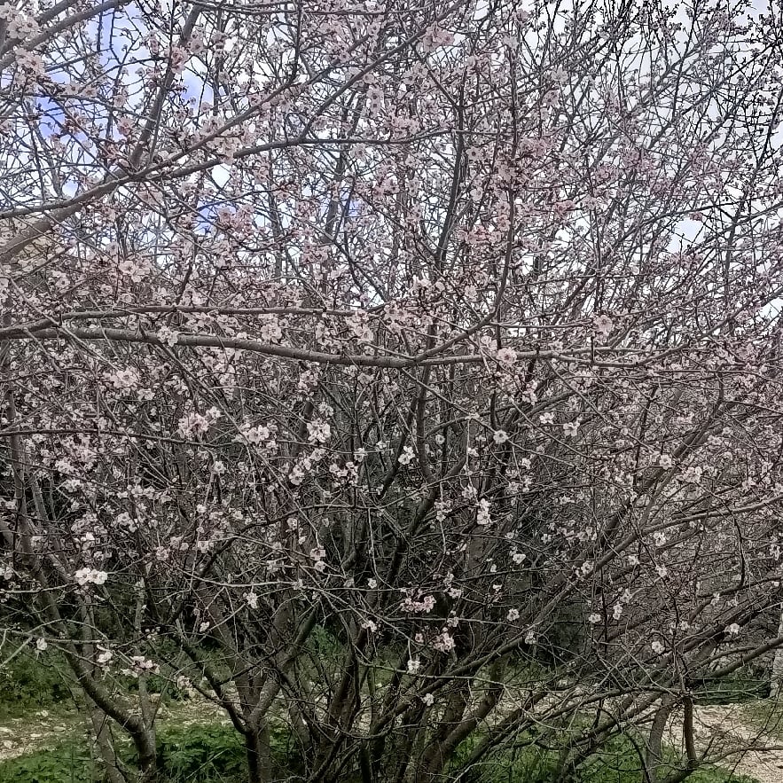 Der Butzbacher Hexenturm mit Verteidigungswall