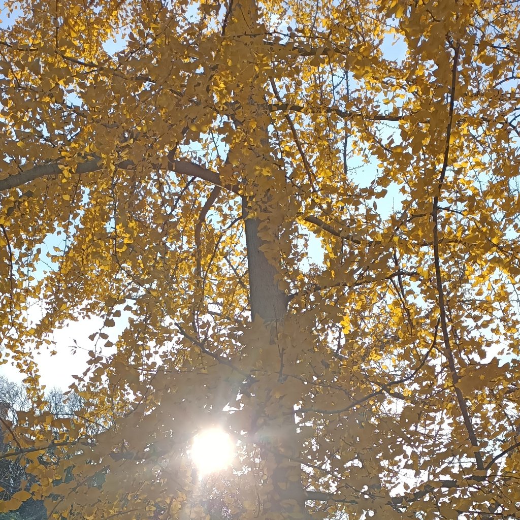 a large building with a pool in front of it