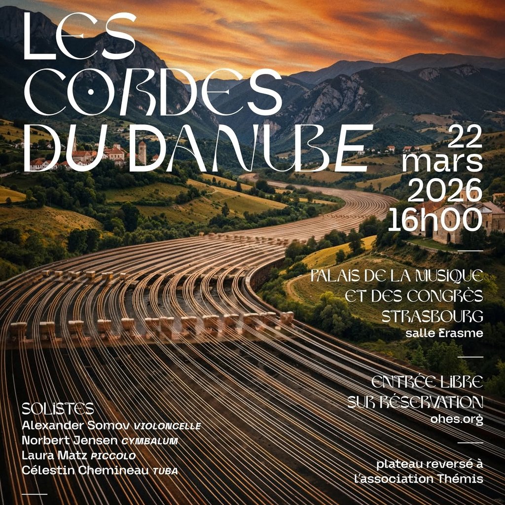 Colorful half-timbered houses line a canal with reflections.