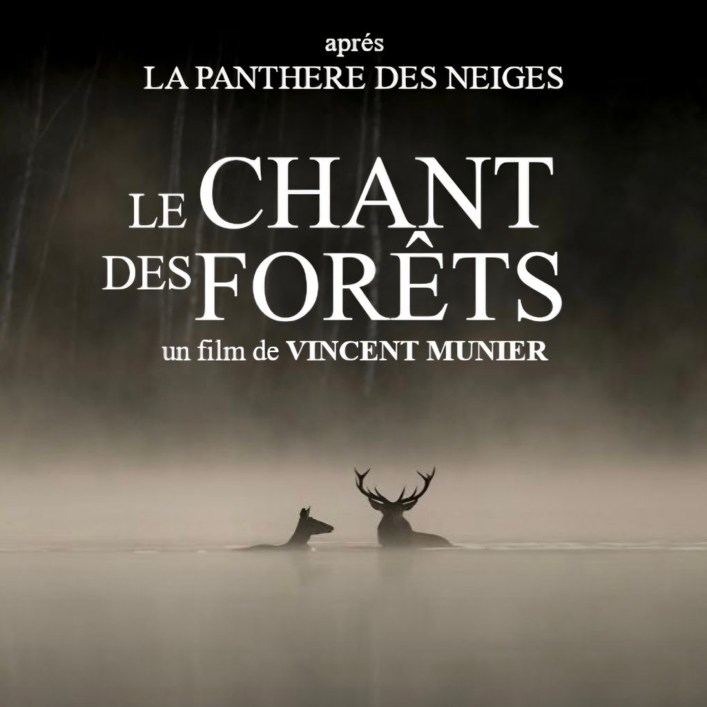 Ciné Dimanche,  suivie d un After eventuel