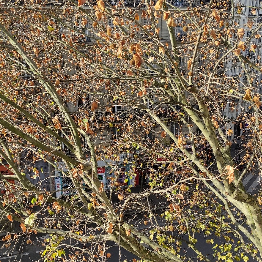 man standing near white wall