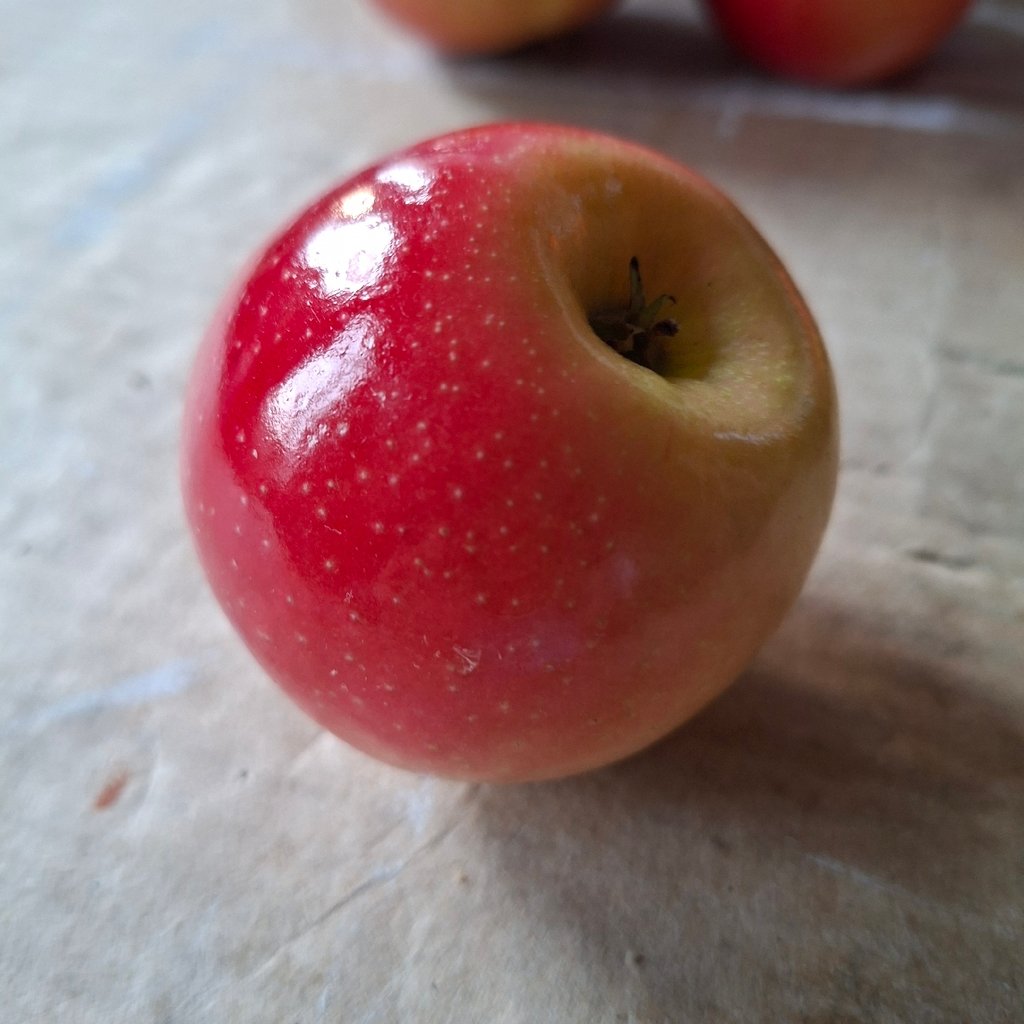 Repas au CRISTAL (Port-Royal)