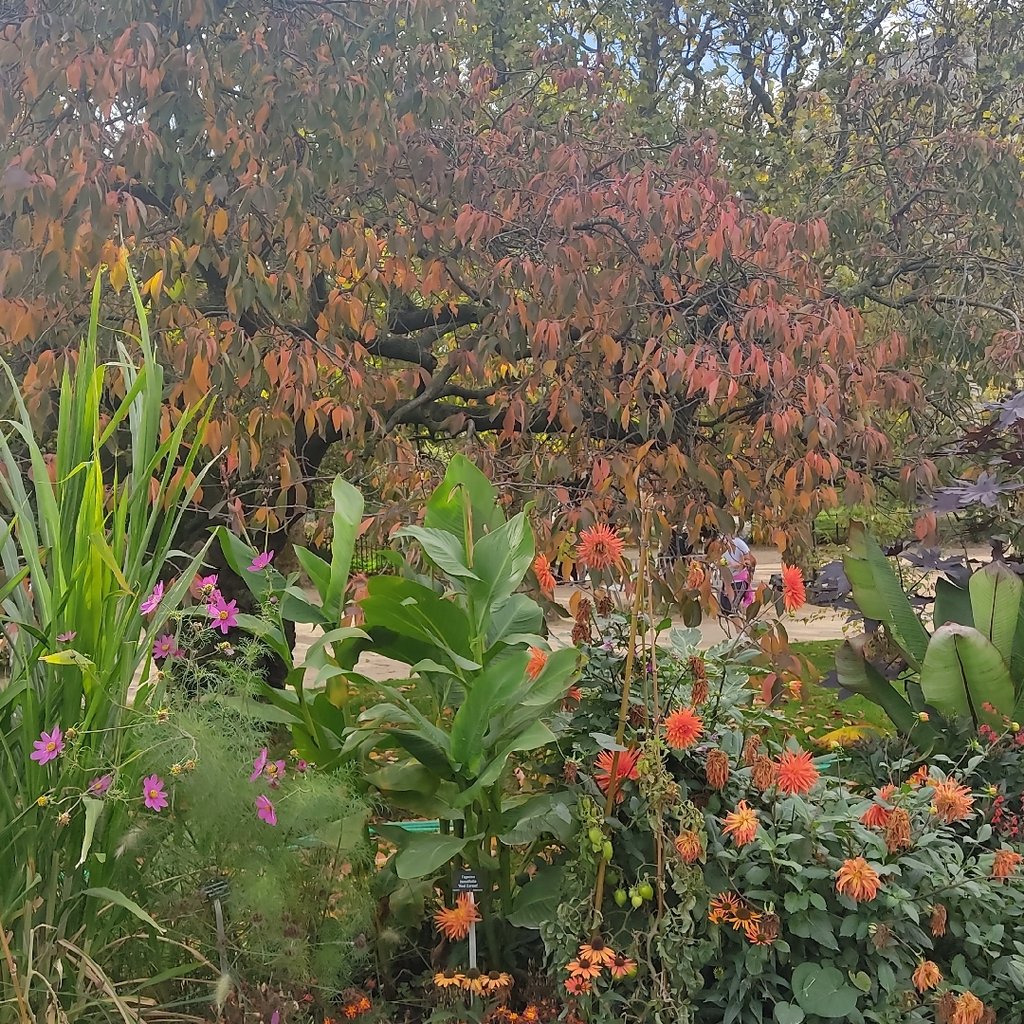 Marche nordique Jardin des plantes