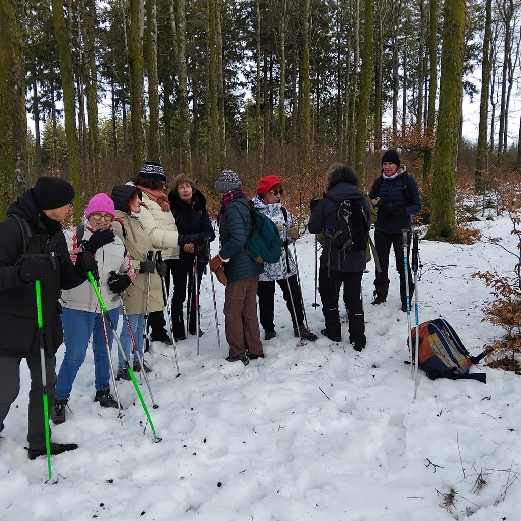 Randonnée raquette au Champ du feu