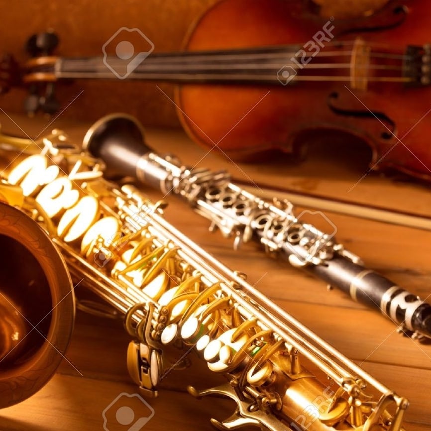 An orchestra is performing on a concert stage.