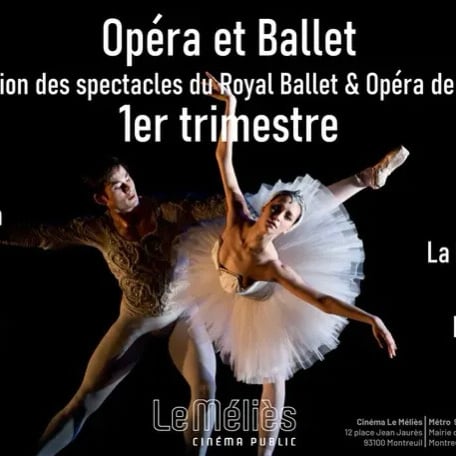 A group of ballerinas in a dance studio