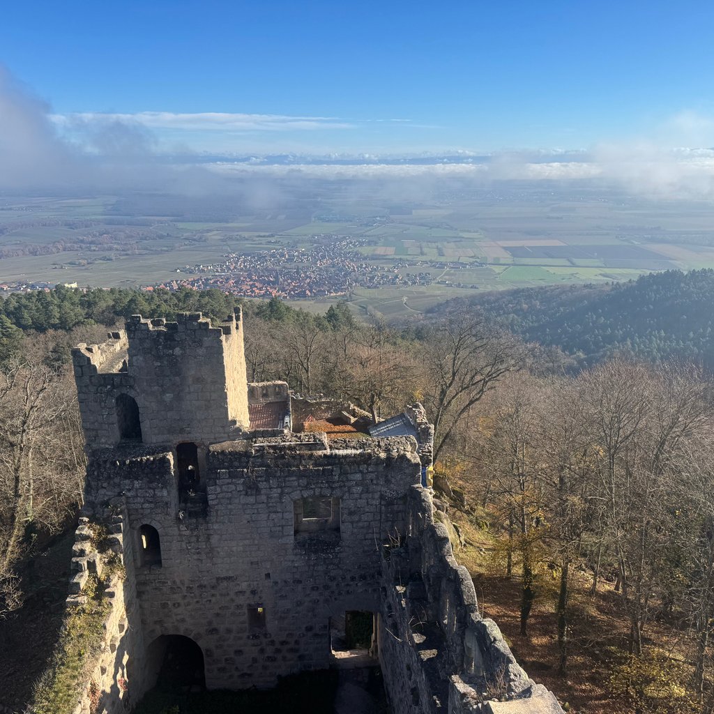 Se mettre en appétit avant Noël