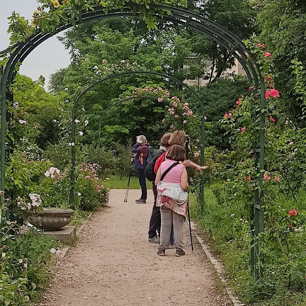 A pathway took in the plant garden in Paris