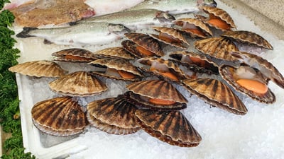 Fête de la coquille Saint-Jacques à Montmartre ! 