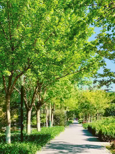 Balade de la Voie Verte à Caluire